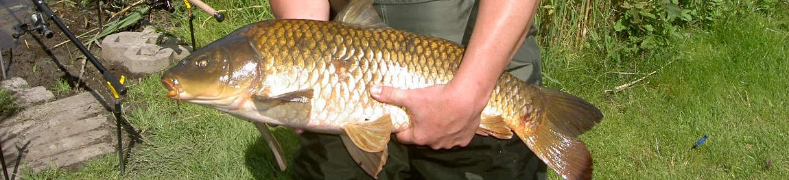 slider12.jpg