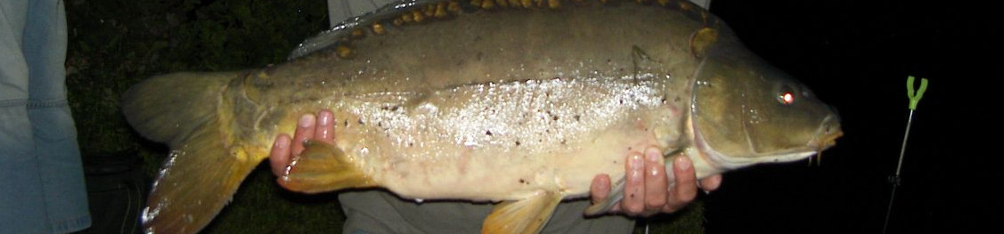 slider15.jpg