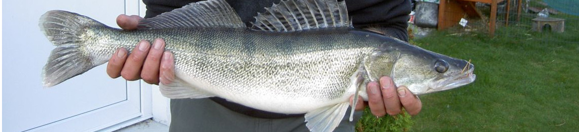 slider18.jpg