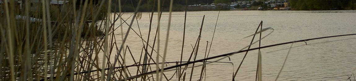 slider19.jpg